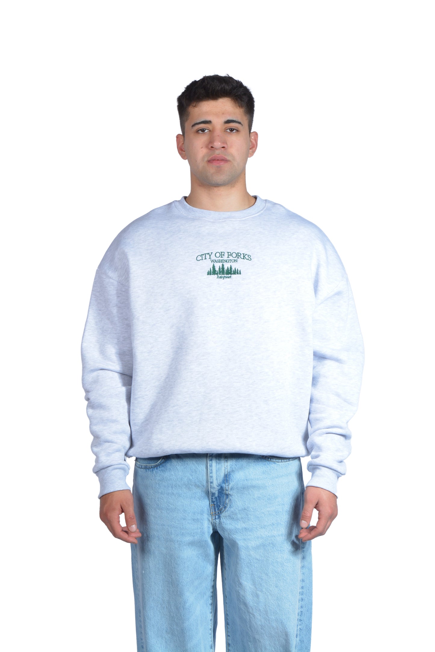 City Of Forks Nakış İşlemeli Sweatshirt