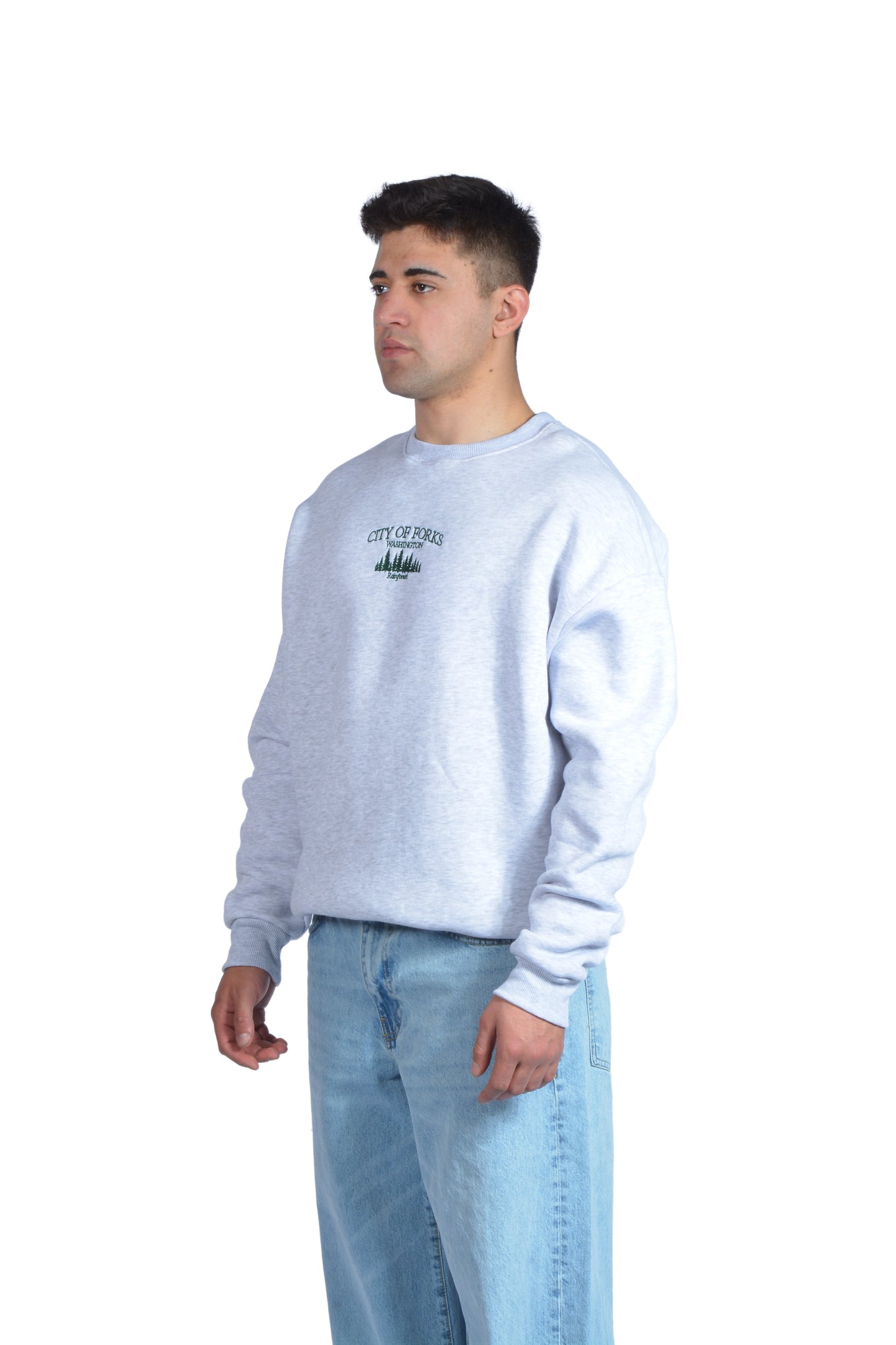 City Of Forks Nakış İşlemeli Sweatshirt